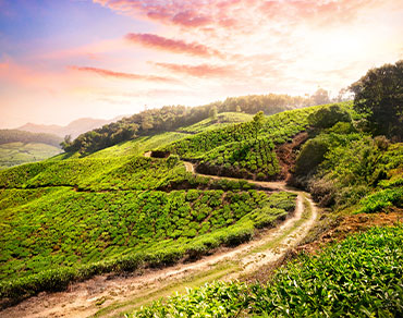 Exploring Earth's Beauty: Discover the World's Most Gorgeous Places