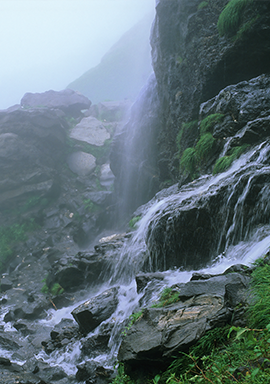 Explore Himachal's Magnificent Tours with Himalayan Vision