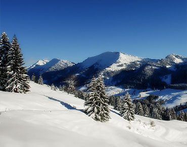 Embark on an Unforgettable Kullu Manali Adventure with Us